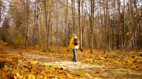 Walk in autumn forest Stockbeeldmateriaal 81396140