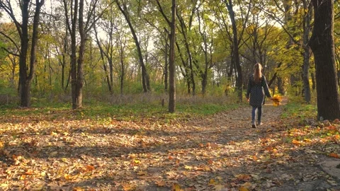 Walk in the autumn forest Stock Footage 194394150