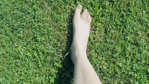 Walk barefoot on the grass Stock Footage 77134385