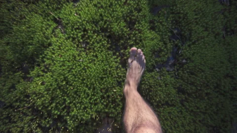 Walk barefoot on soft forest moss. Point of view Stock Footage 201379419