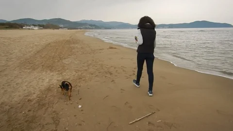 Walk on the beach 4138 Stock Footage 106860509
