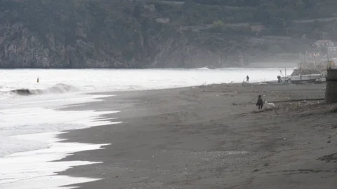 A walk on the beach with the dog Stock Footage 97817548