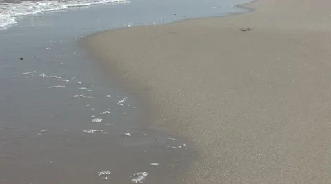 Walk on the Beach Stock-Footage 6559544