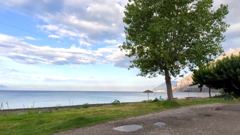 Walk in the beach Video stock 137602301