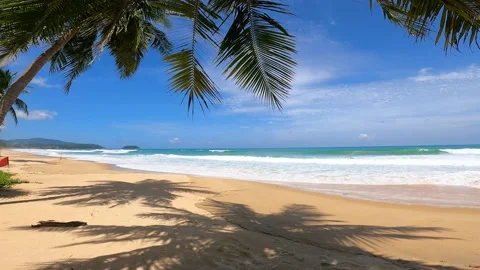 Walk on the beach Stock Footage 156869829