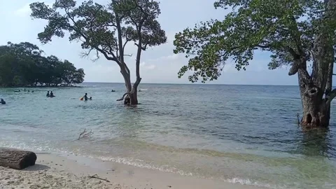 Walk on the beach Stock Footage 231036631
