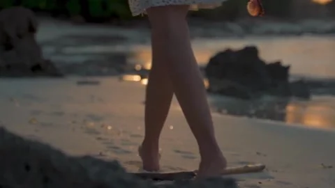 Walk On The Beach Stock Footage 246617102