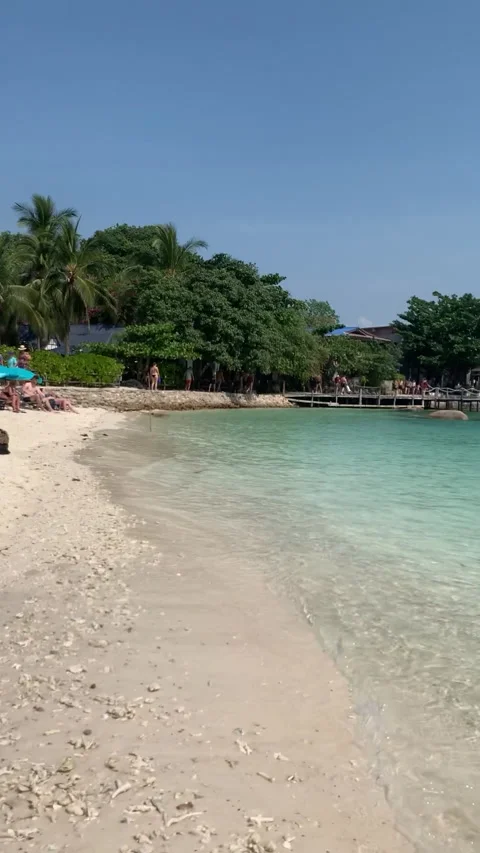 Walk on Beach HD Stock Footage 175884697