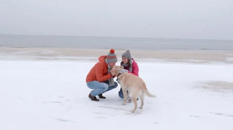 Walk on the beach hugging a dog Stockbeeldmateriaal 62710620