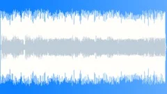 Walk On The Beach Stock Music