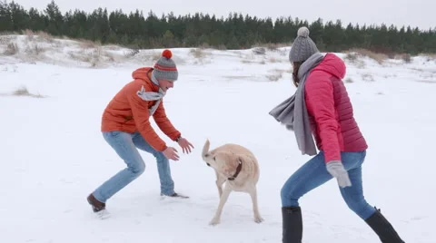 Walk on the beach playing with a dog Video stock 62717581
