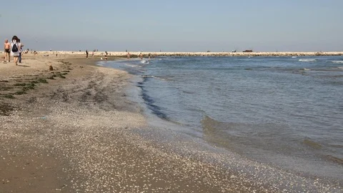 Walk on the beach in Sottomarina Stock Footage 105256186