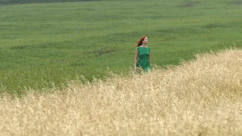 A walk between two fields. Stock Footage 88152253
