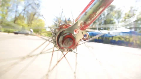 Walk on the bicycle Stock Footage 5448034