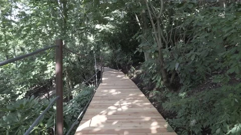 Walk on the board in the woods. Stock Footage 137267723