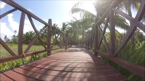 Walk on boardwalk Stock Footage 47292414