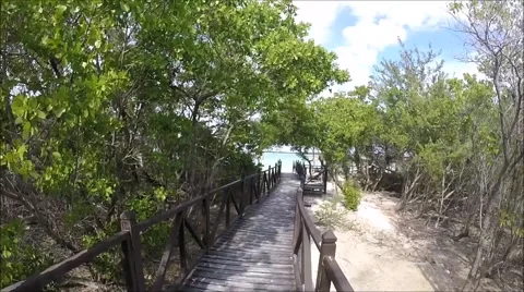 Walk the boardwalk Stock Footage 47292984