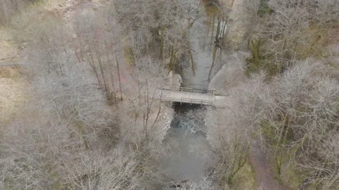 Walk Bridge over River, Leafless Deciduous Forest, Aerial Establishing Shot Vídeo Stock 229145837