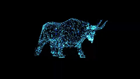 Walk bull Stock Footage 325693486