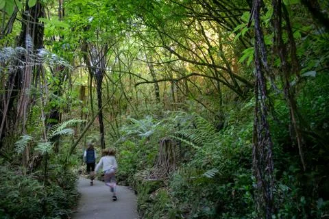 A walk in the bush Stock Photos