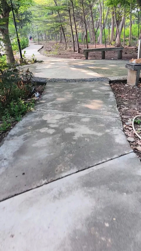 Walk on the cement paved path through the park. Lakes and trees with lush g.. Stock Footage 295601506