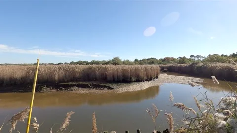 Walk on the coastal path Video stock 164058041