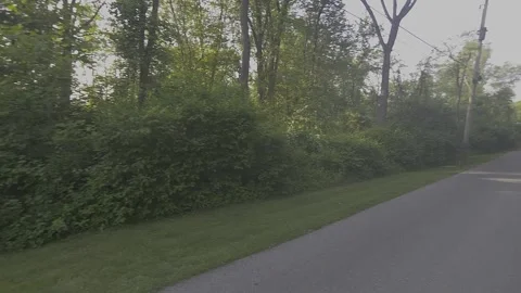 A Walk On A Country Road Vidéo 242547772