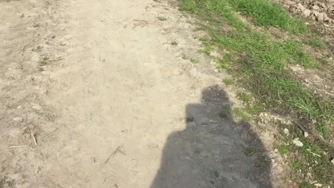 A walk in the countryside Stock Footage 256302830