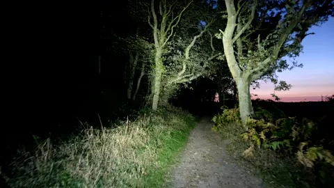 Walk on dark edge of ancient forest path at night, by torchlight flashlight POV Stock Footage 145985825