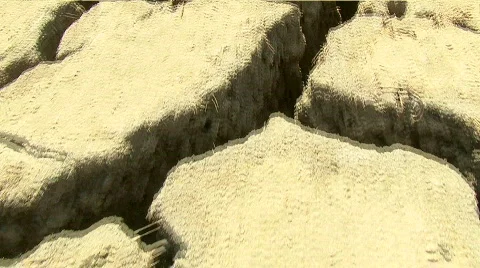 Walk on Desert Stockbeeldmateriaal 574352