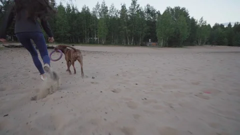 Walk with dog on the beach Stock Footage 92413788