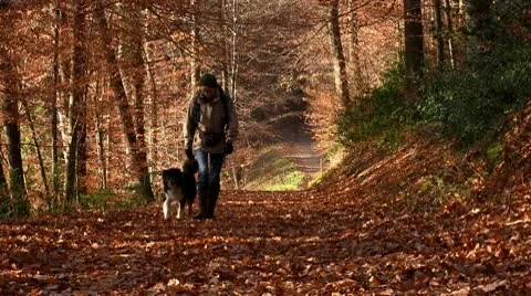 Walk the dog Stock Footage 9115205
