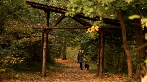 Walk with a dog Stock Footage 32273683
