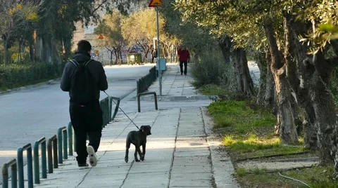 Walk with the dog Video stock 45991906