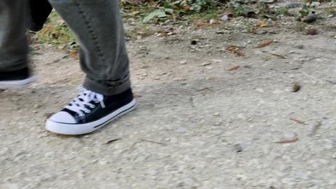 Walk with a dog. Stock Footage 97872367