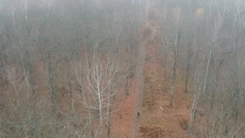 Walk with the dog. Stock Footage 123340841