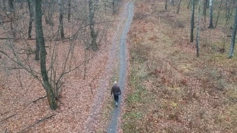 Walk with the dog. Stock Footage 123340878