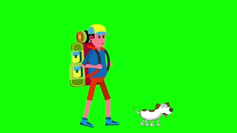 Walk with dog Stock Footage 328297265