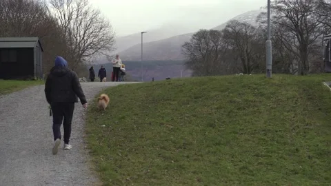 Walk dog mountains Stock Footage 167668372