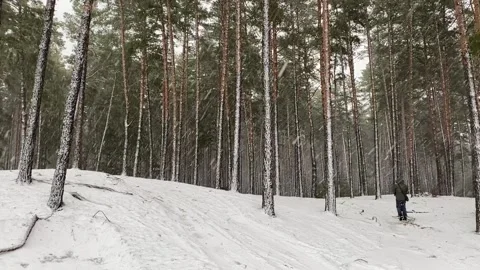 Walk with dog in snowly winter forest Stock Footage 167202187