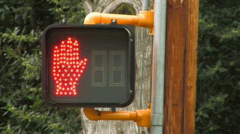 Walk.  Don't walk. Stock Footage 113680