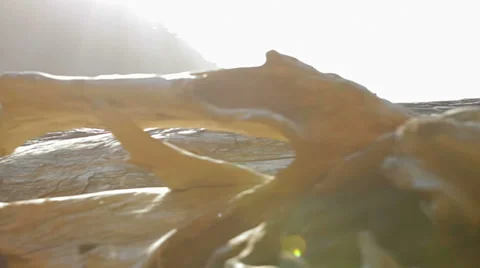 A walk down the beach with logs and stones next to the water Stock-Footage 33892916