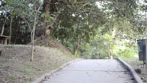 Walk down bridge section in a park in El Salvador bicentenario Stockbeeldmateriaal 145041904