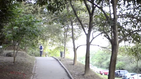 Walk down bridge section in a park in El Salvador bicentenario Stock-Footage 145863470
