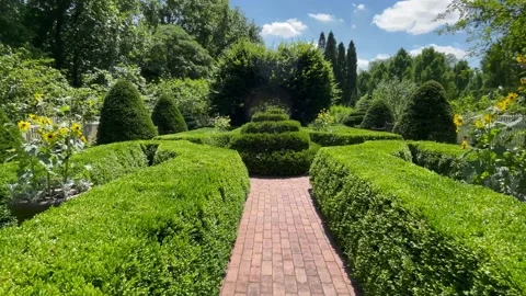 Walk down garden path revealing spiral shaped hedge Stock Footage 239097007