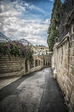 A walk down the Mount of Olives Stock Photos