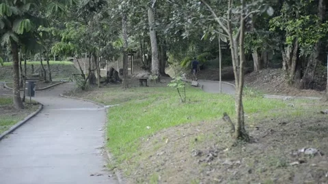 Walk down a path way in a park late hours bicentenario park El Salvador Stock-Footage 145863774