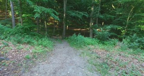 Walk down steps in park Stock Footage 115971640