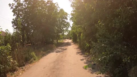 Walk down the street between the park and houses. Stock Footage 139341706