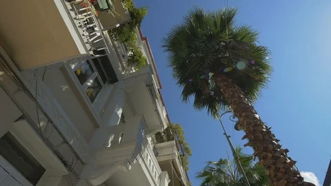 Walk down the street with palm trees Stock Footage 99726547